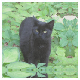 Black Kitten Cat in tuin Stof