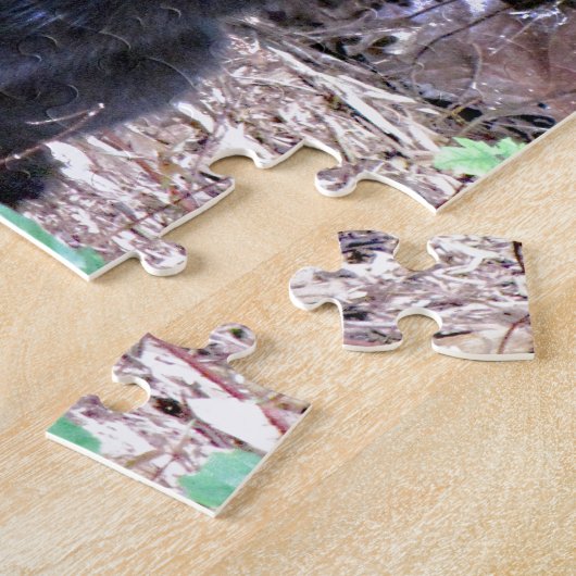 Black Kitten Cat Legpuzzel (Zijkant)