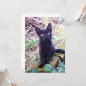 Black Kitten Kaart (Voorkant / Achterkant in situ)