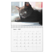Black Kitten Kalender (Mar 2027)