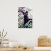 Black Kitten Poster (Keuken)