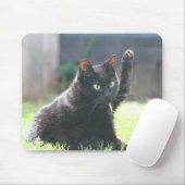 Black Kitty Cat Muismat (Met muis)
