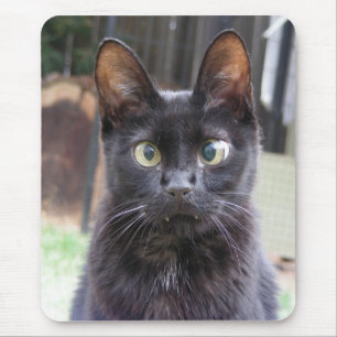 Black Kitty Cat Muismat