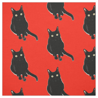 Black Kitty Cat Photography Fabric Stof