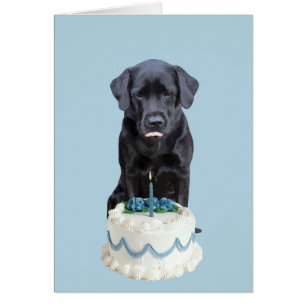 Black Lab All Occasion Kaart - Dog Cake Birthday