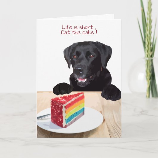 Black Lab All Occasion Kaart - Dog Cake Birthday (Voorkant)