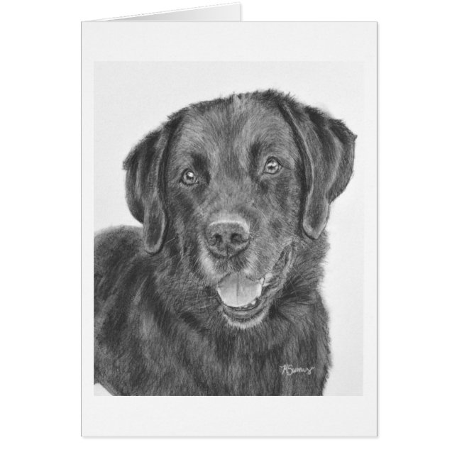 Black Lab Bandit (Devant)