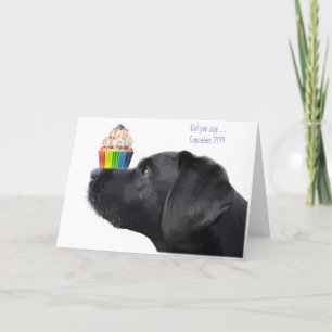 Black Lab Birthday Card - Dog Birthday Kaart