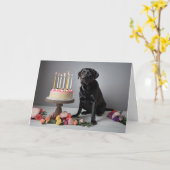 Black Lab Birthday Kaart (Gele Bloem)