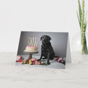 Black Lab Birthday Kaart