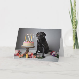 Black Lab Birthday Kaart