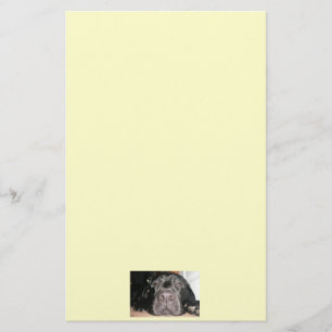 Black Lab Briefpapier