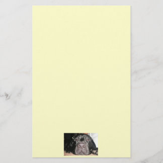 Black Lab Briefpapier