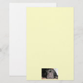 Black Lab Briefpapier (Voorkant / Achterkant)