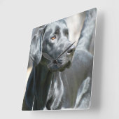 Black Lab Clock Vierkante Klok (Hoek)
