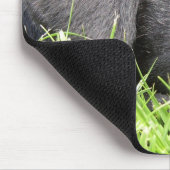 Black Lab Daydreamer Muismat (Hoek)