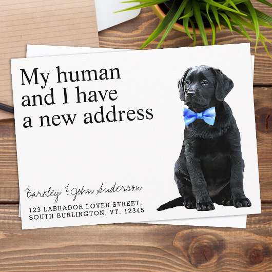 Black Lab Dog Moving Aankondiging