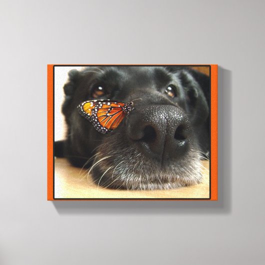 BLack Lab Dog with Butterfly Canvas Afdruk (Voorkant)