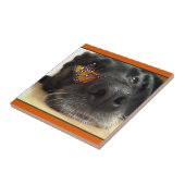BLack Lab Dog with Butterfly Tegeltje (Zijkant)