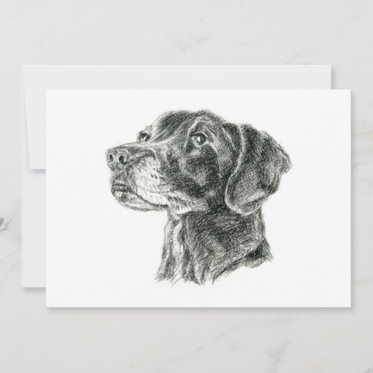 Black Lab Flat Card (Voorkant)