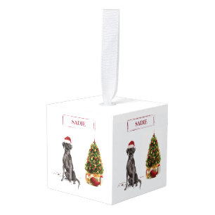 Black Lab Funny Kersthond en boom Kubus Ornament