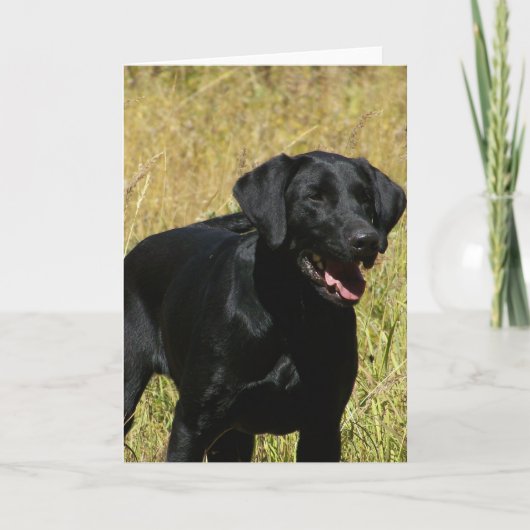 Black Lab in Field Note Kaart (Voorkant)