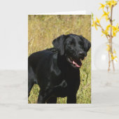 Black Lab in Field Note Kaart (Gele Bloem)