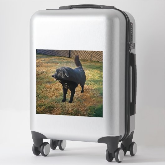 Black Lab In The Fall Sun Custom-Cut Vinyl Sticker (Sur valise)