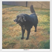 Black Lab In The Fall Sun Custom-Cut Vinyl Sticker (Feuille)