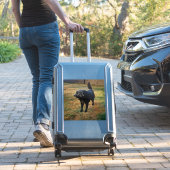 Black Lab In The Fall Sun Custom-Cut Vinyl Sticker (Valise Insitu)
