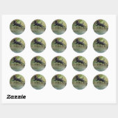 Black Lab Jumping Ronde Sticker (Vel)