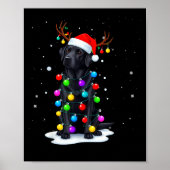 Black Lab Labrador Dog Funny Christmas Lights Rein Poster (Voorkant)