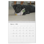 Black Lab labrador Recovery-kalender Kalender (Feb 2026)