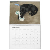Black Lab labrador Recovery-kalender Kalender (Jan 2027)