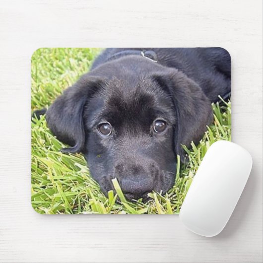 Black Lab mousepad Muismat (Met muis)
