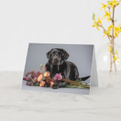 Black Lab Note Kaart (Gele Bloem)