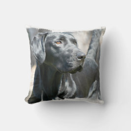 Black Lab Pillow Kussen