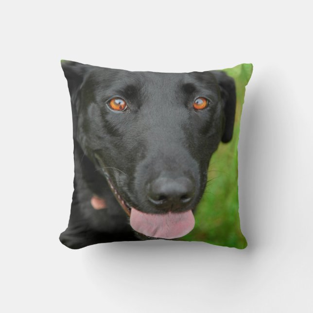 Black Lab Pillow Kussen (Voorkant)