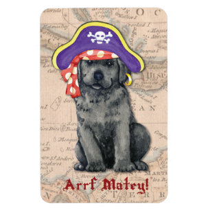 Black Lab Pirate Magneet