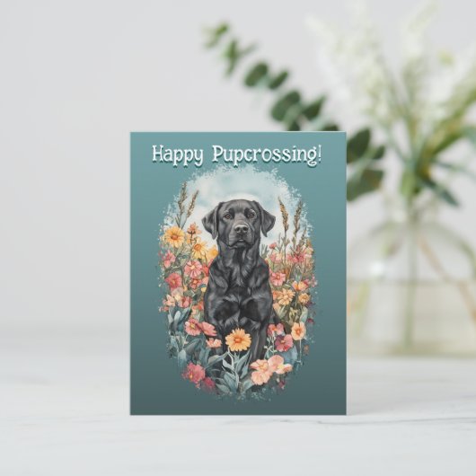 Black Lab Postcroisement - Carte postale (Debout devant)