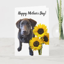 Black Lab Puppy and Sunflower Pun