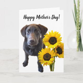 Black Lab Puppy and Sunflower Pun Kaart