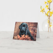 Black Lab Puppy Kaart (Gele Bloem)