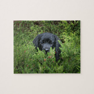 Black Lab Puppy Legpuzzel