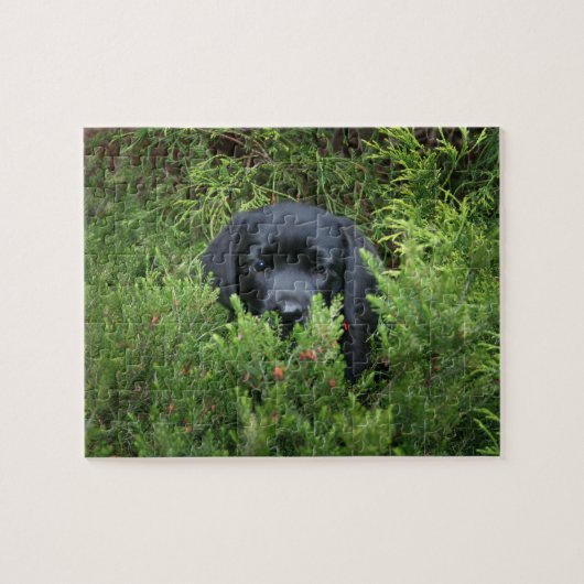 Black Lab Puppy Legpuzzel (Horizontaal)