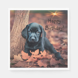 Black Lab Puppy Servet