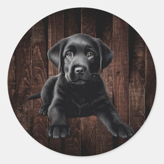 Black Lab Puppy Stickers (Voorkant)