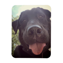 Black Lab Selfie Dog Foto Magneet