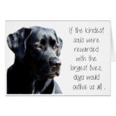 Black Lab Sympathy Card - Dog Sympathy - Pet Loss (Devant horizontal)