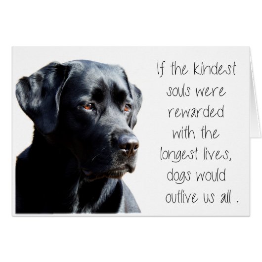 Black Lab Sympathy Card - Dog Sympathy - Pet Loss (Devant horizontal)